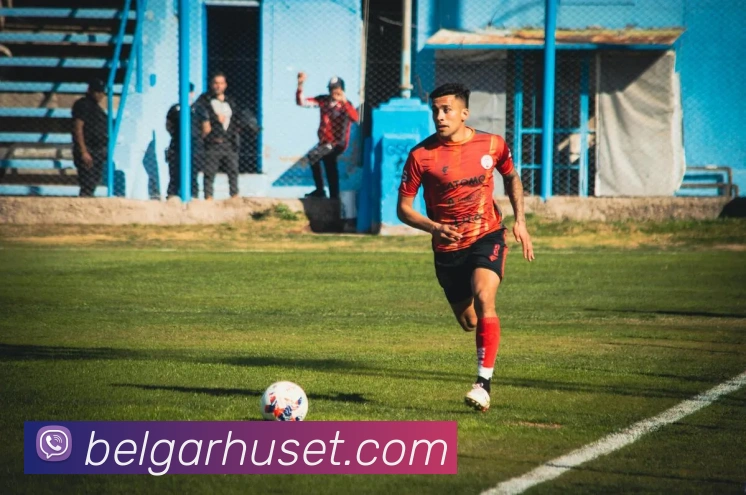 星空网·官方端网站APP 封面图